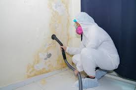 Why You Should Choose Our Mold Remediation Services in Warrensburg, IL